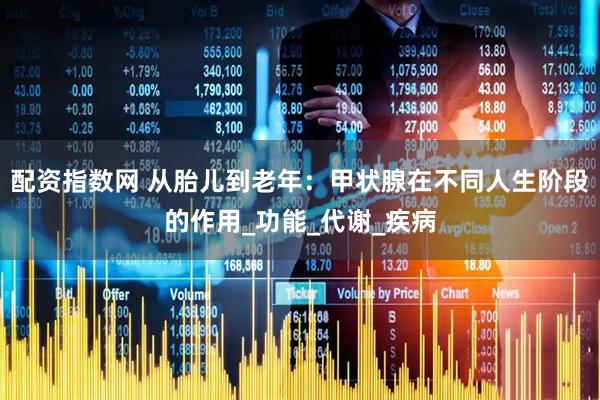 配资指数网 从胎儿到老年：甲状腺在不同人生阶段的作用_功能_代谢_疾病